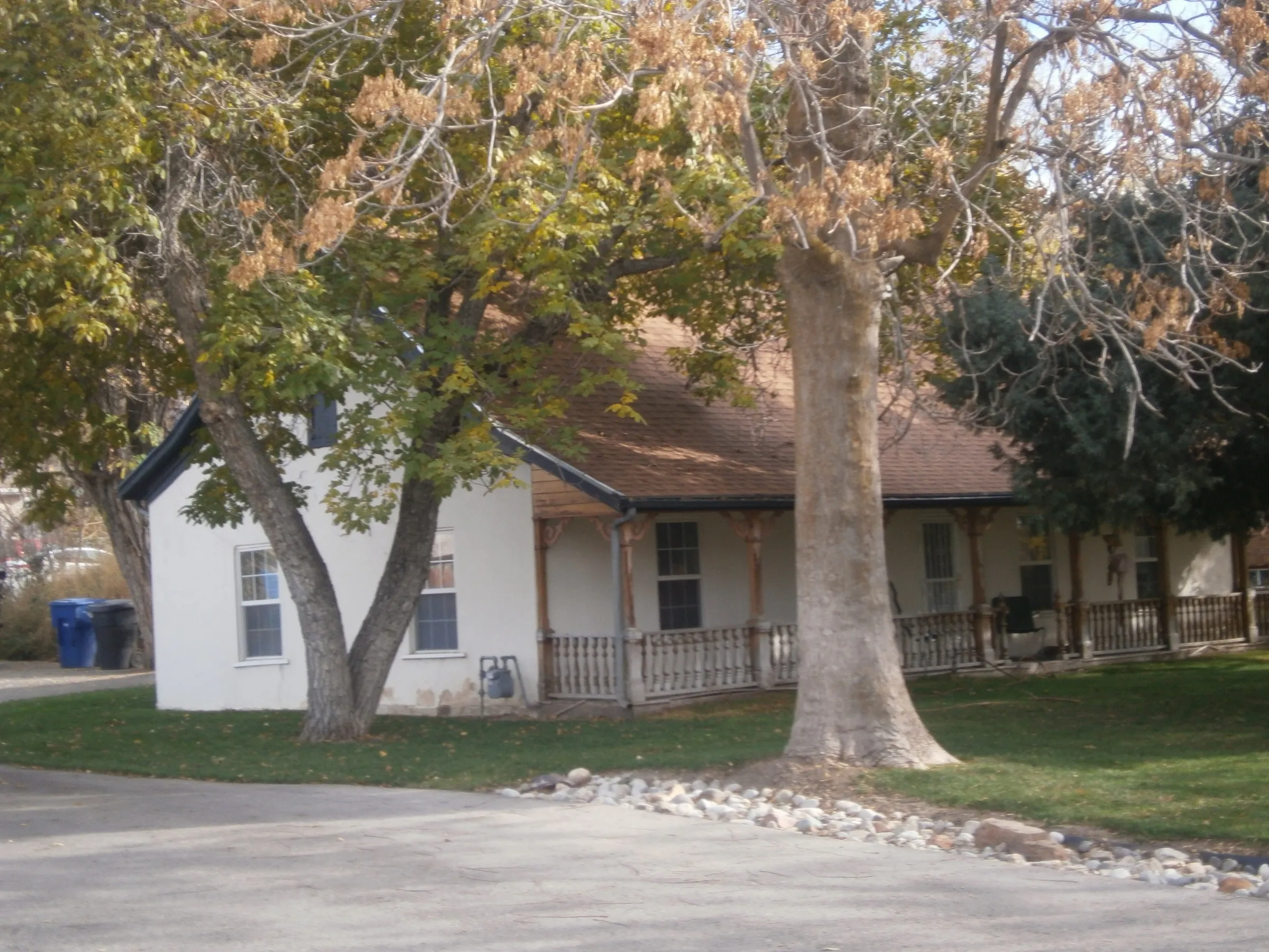 A large shade tree crowding the front of a single-story house.