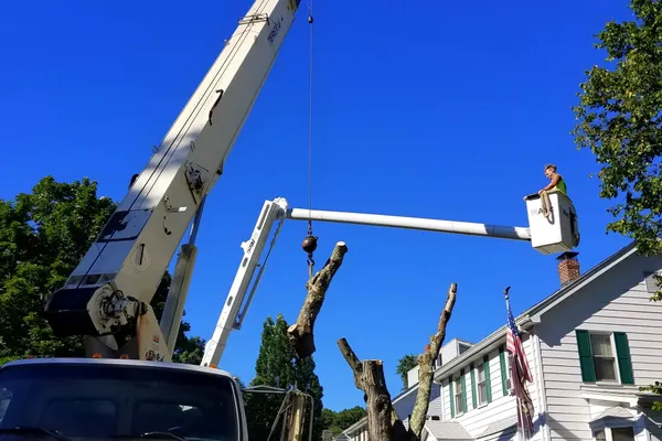 A crane lifting a cut trunk section over a house.
