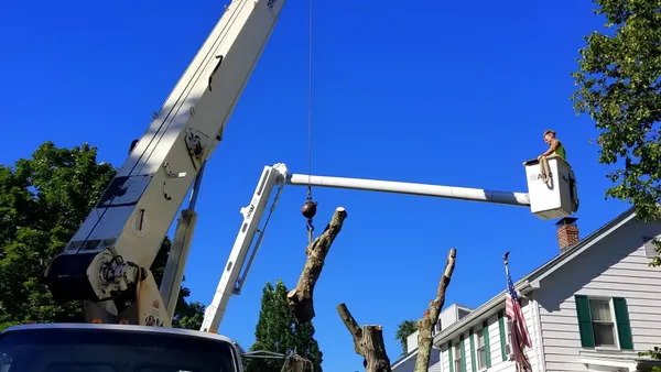A climber in a bucket lift sectioning a large tree beside a white house while a crane holds the cut piece.