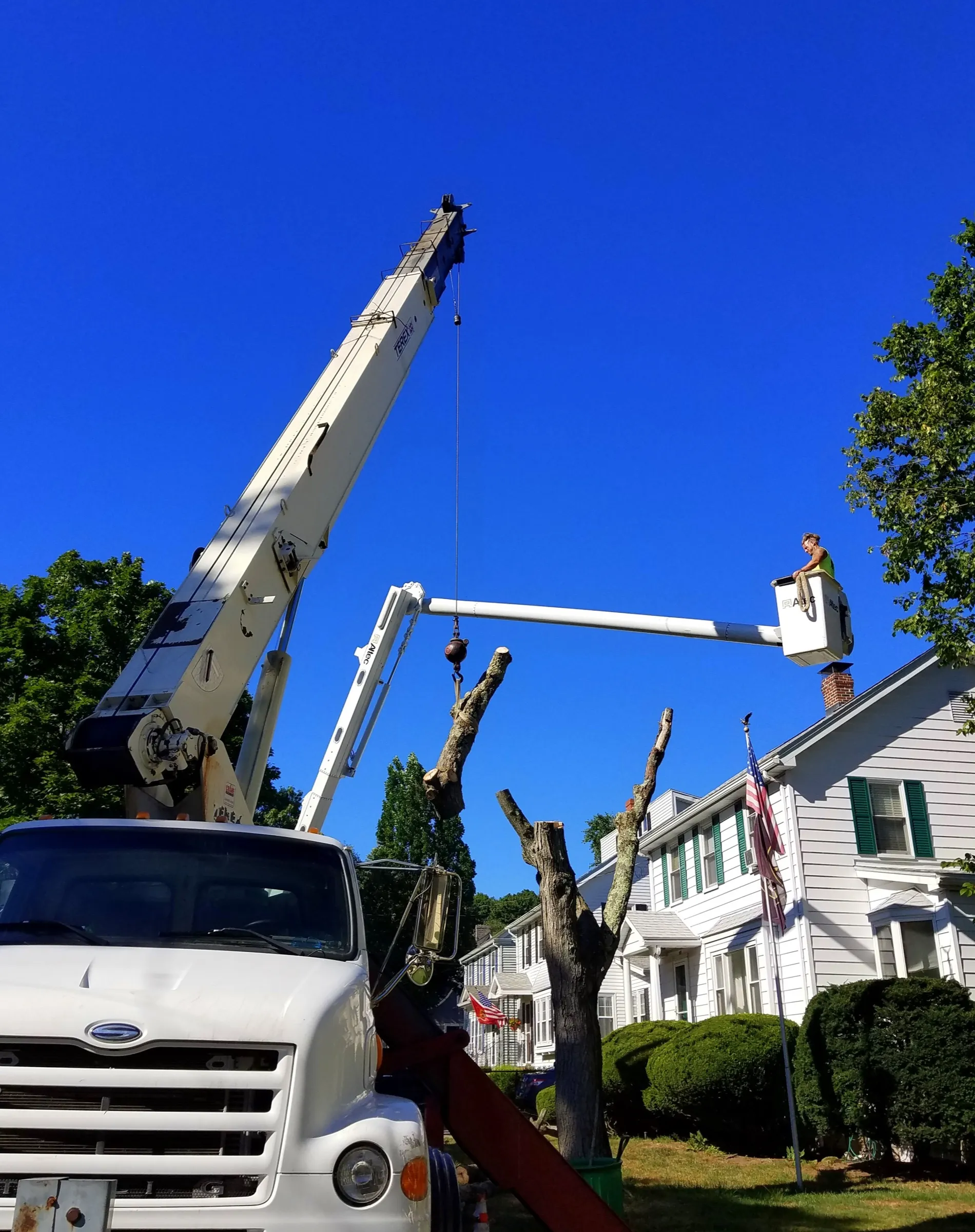 A climber in a bucket lift sectioning a large tree beside a white house while a crane lifts a cut piece over the yard.