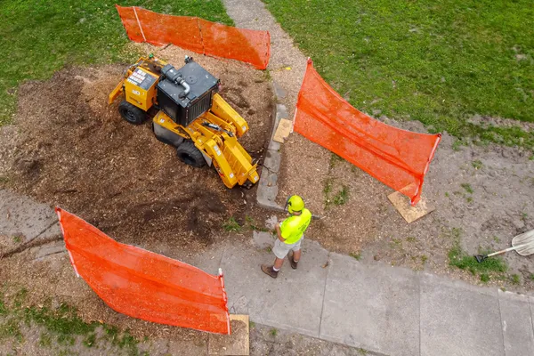 A stump grinder working in a fenced-off lawn.